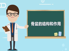 【醫(yī)療科普】：你知道骨盆在人體中有什么作用嗎？